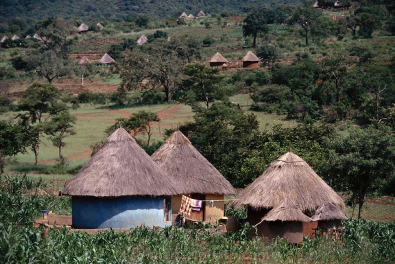 Typical round houses of the Transvaal